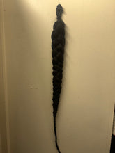 Load image into Gallery viewer, N’Luxe Braided Ponytail
